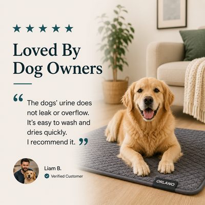 Orlano Washable Pet Mat
