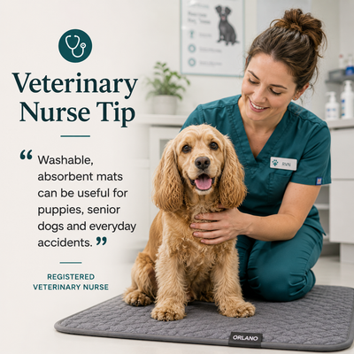 Orlano Washable Pet Mat