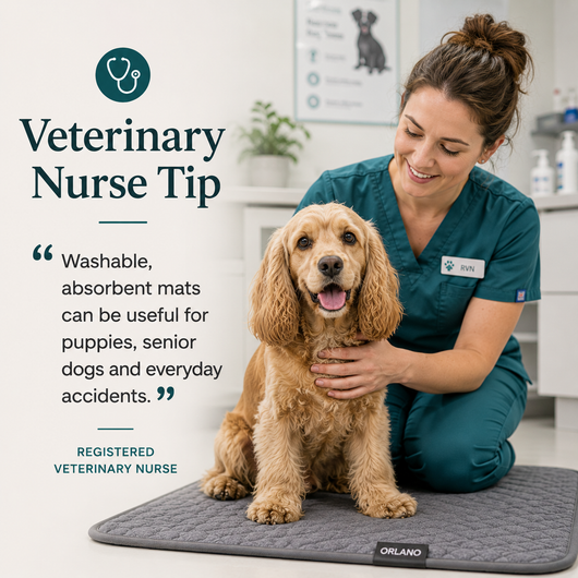 Orlano Washable Pet Mat